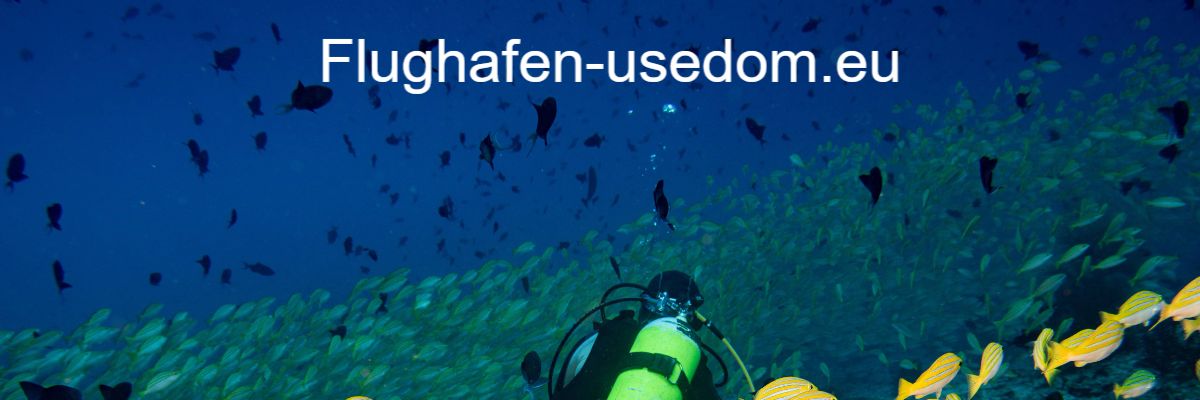 flughafen-usedom.eu